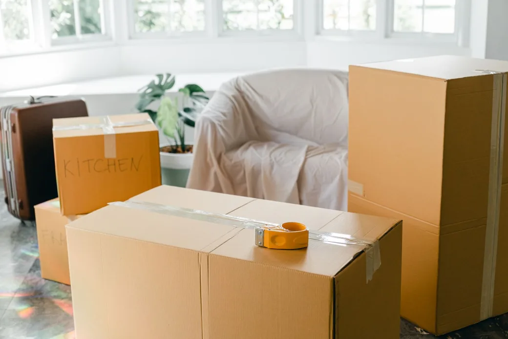 Labelled moving boxes, a suitcase, a covered armchair and a plant ready to be moved
